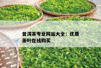 普洱茶专业网站大全：优质茶叶在线购买