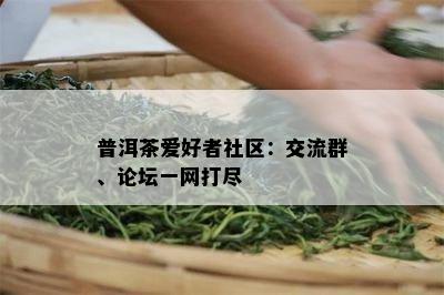 普洱茶爱好者社区：交流群、论坛一网打尽