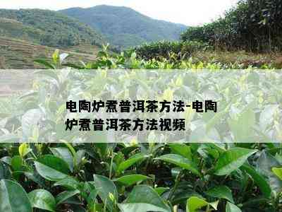 电陶炉煮普洱茶方法-电陶炉煮普洱茶方法视频