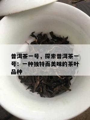 普洱茶一号，探索普洱茶一号：一种独特而美味的茶叶品种