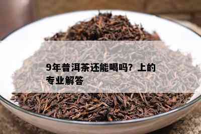 9年普洱茶还能喝吗？上的专业解答