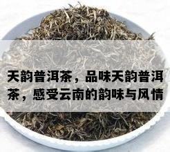 天韵普洱茶，品味天韵普洱茶，感受云南的韵味与风情