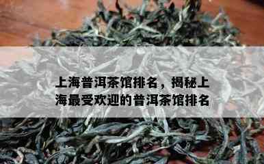 上海普洱茶馆排名，揭秘上海更受欢迎的普洱茶馆排名