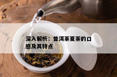 深入解析：普洱茶夏茶的口感及其特点