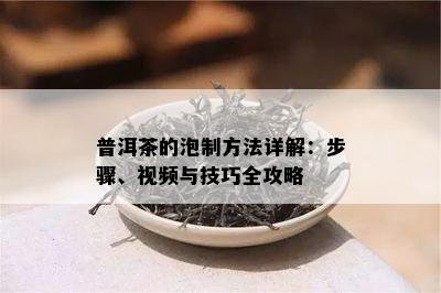 普洱茶的泡制方法详解：步骤、视频与技巧全攻略