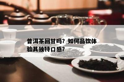 普洱茶回甘吗？如何品饮体验其独特口感？