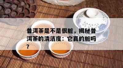 普洱茶是不是很脏，揭秘普洱茶的清洁度：它真的脏吗？