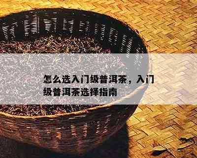 怎么选入门级普洱茶，入门级普洱茶选择指南