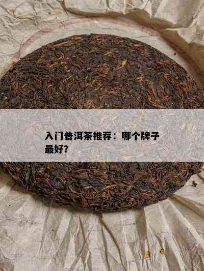 入门普洱茶推荐：哪个牌子更好？