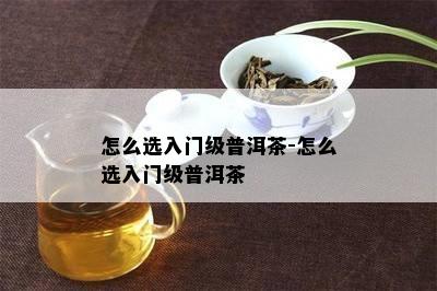 怎么选入门级普洱茶-怎么选入门级普洱茶