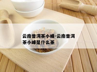 云南普洱茶小峰-云南普洱茶小峰是什么茶