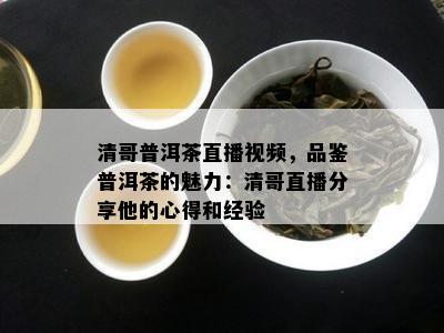 清哥普洱茶直播视频，品鉴普洱茶的魅力：清哥直播分享他的心得和经验