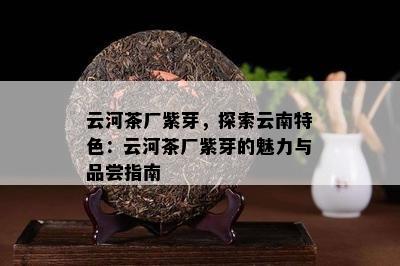 云河茶厂紫芽，探索云南特色：云河茶厂紫芽的魅力与品尝指南