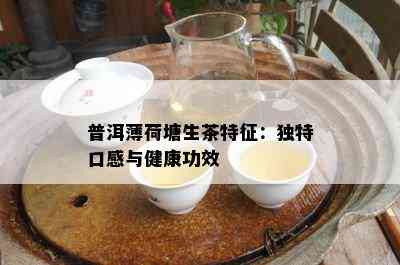 普洱薄荷塘生茶特征：特别口感与健康功效