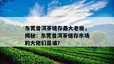 东莞普洱茶储存更大老板，揭秘：东莞普洱茶储存市场的大佬们是谁？