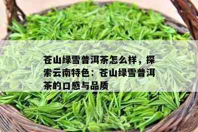 苍山绿雪普洱茶怎么样，探索云南特色：苍山绿雪普洱茶的口感与品质