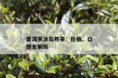 普洱茶冰岛熟茶：价格、口感全解析