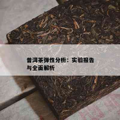 普洱茶弹性分析：实验报告与全面解析