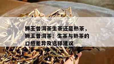 狮王普洱茶生茶还是熟茶，狮王普洱茶：生茶与熟茶的口感差异及选择建议