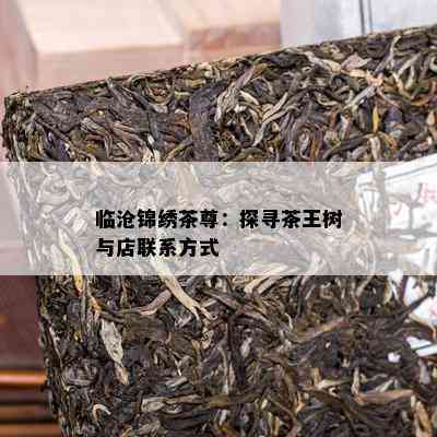 临沧锦绣茶尊：探寻茶王树与店联系方式