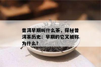 普洱早期叫什么茶，探秘普洱茶历史：早期的它又被称为什么？