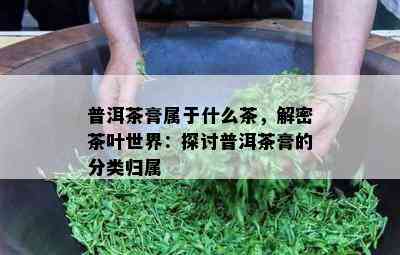 普洱茶膏属于什么茶，解密茶叶世界：探讨普洱茶膏的分类归属