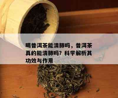 喝普洱茶能清肺吗，普洱茶真的能清肺吗？科学解析其功效与作用