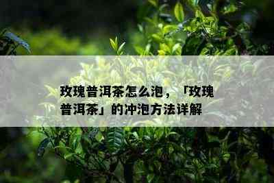 玫瑰普洱茶怎么泡，「玫瑰普洱茶」的冲泡方法详解