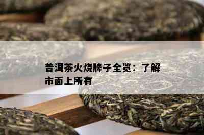 普洱茶火烧牌子全览：熟悉市面上所有