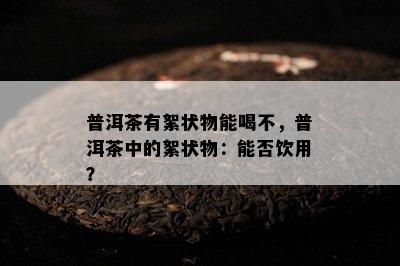 普洱茶有絮状物能喝不，普洱茶中的絮状物：能否饮用？