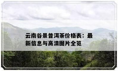 云南谷景普洱茶价格表：最新信息与高清图片全览