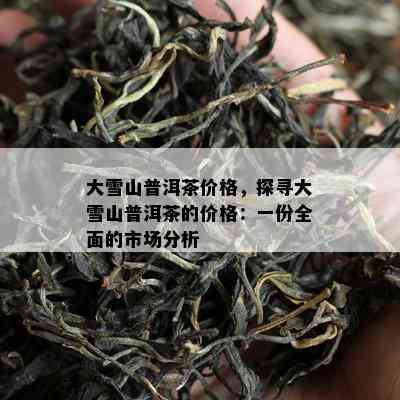 大雪山普洱茶价格，探寻大雪山普洱茶的价格：一份全面的市场分析