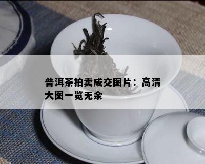 普洱茶拍卖成交图片：高清大图一览无余