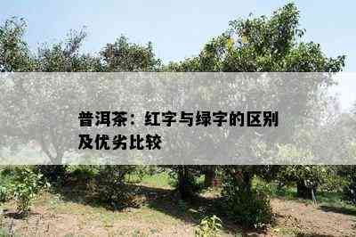 普洱茶：红字与绿字的区别及优劣比较