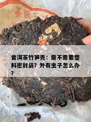 普洱茶竹笋壳：需不需要塑料密封袋？外有虫子怎么办？