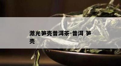 激光笋壳普洱茶-普洱 笋壳