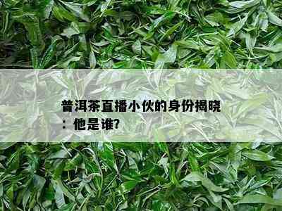 普洱茶直播小伙的身份揭晓：他是谁？