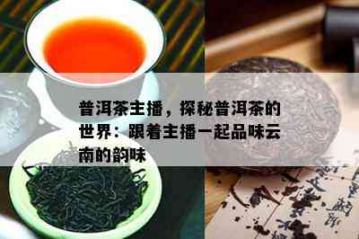 普洱茶主播，探秘普洱茶的世界：跟着主播一起品味云南的韵味