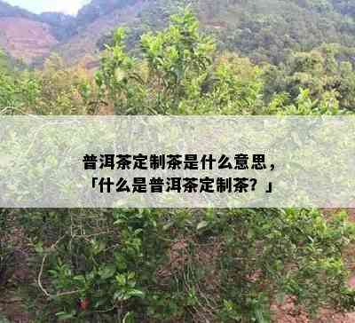 普洱茶定制茶是什么意思，「什么是普洱茶定制茶？」