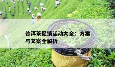 普洱茶促销活动大全：方案与文案全解析