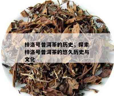 梓洛号普洱茶的历史，探索梓洛号普洱茶的悠久历史与文化