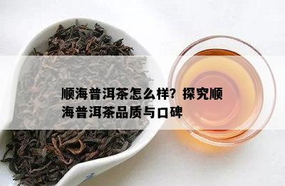 顺海普洱茶怎么样？探究顺海普洱茶品质与口碑