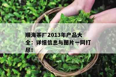 顺海茶厂2013年产品大全：详细信息与图片一网打尽！