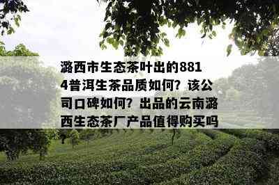 潞西市生态茶叶出的8814普洱生茶品质怎样？该公司口碑怎样？出品的云南潞西生态茶厂产品值得购买吗？