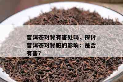 普洱茶对肾有害处吗，探讨普洱茶对肾脏的作用：是不是有害？