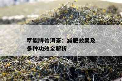 萃能牌普洱茶：减肥效果及多种功效全解析