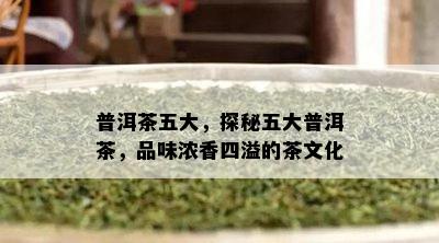 普洱茶五大，探秘五大普洱茶，品味浓香四溢的茶文化