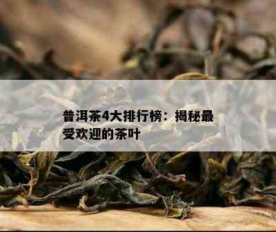 普洱茶4大排行榜：揭秘更受欢迎的茶叶