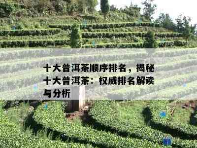 十大普洱茶顺序排名，揭秘十大普洱茶：权威排名解读与分析