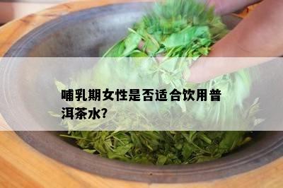 哺乳期女性是不是适合饮用普洱茶水？